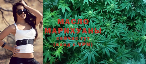 молекула духа Вяземский