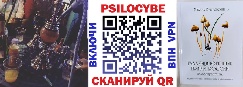 Галлюциногенные грибы Psilocybe  Купить где  Удачный 