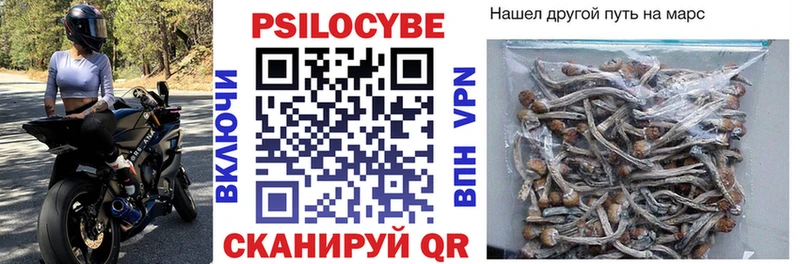 Псилоцибиновые грибы GOLDEN TEACHER Удачный